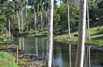 Some of the grounds at La Guira Park
San Diego de los Banos, Pinar del Rio Province, Cuba