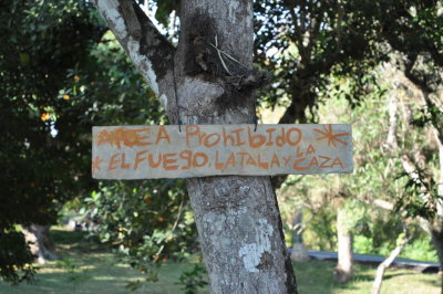 Makeshift sign near the entrance to La Guira Park
Fire, logging and hunting prohibited
