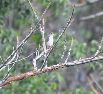 Cuban Solitaire
Cueva de los Portales, Cuba