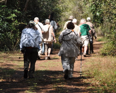 Our bird survey group walking the trail near Soplillar, Cuba