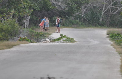The road had caved in toward the water and had not been repaired.