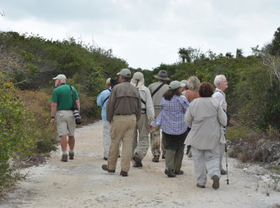 Habitat we walked on Cayo Paredon Grande, Cuba