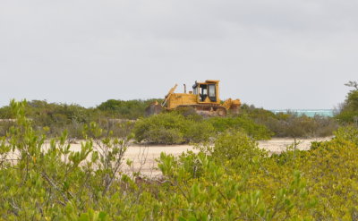 Bulldozer on Cayo Paredon Grande