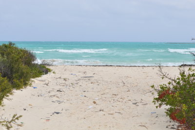 Beach and sky