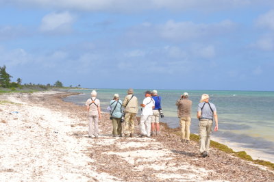 Looking for shorebirds at Playa Las Coloradas