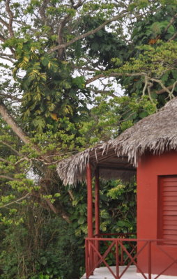 DSC_0658b.JPG