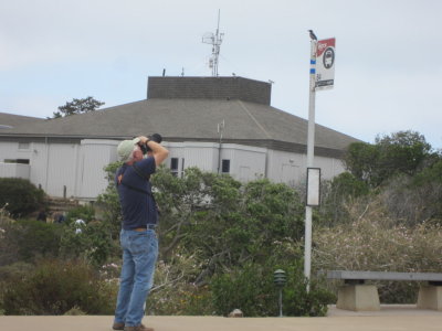Steve is photographing a Scrub-jay on a signpost at Cabrillo National Monument.