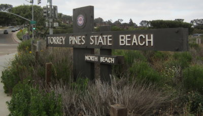 After leaving Point Loma, we drove north along the coast until we reached Torrey Pines State Park and the Las Penasquitos Lagoon.