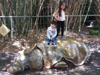 Then they found a resting hippo to climb on.