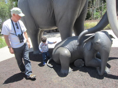 Grandpa and Zeke found some elephants they could get closer to.