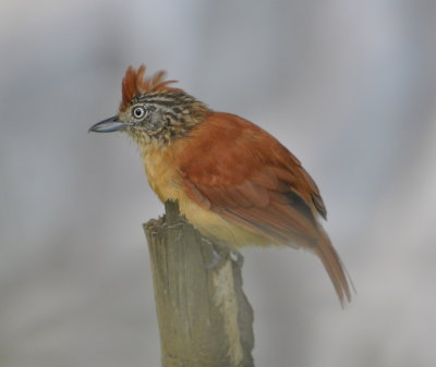 DSC_0318b.JPG