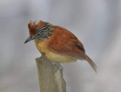 DSC_0319b.JPG