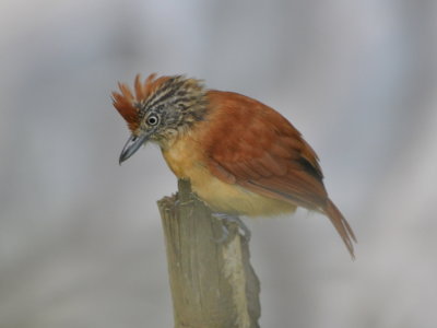 DSC_0320b.JPG