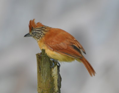 DSC_0327b.JPG