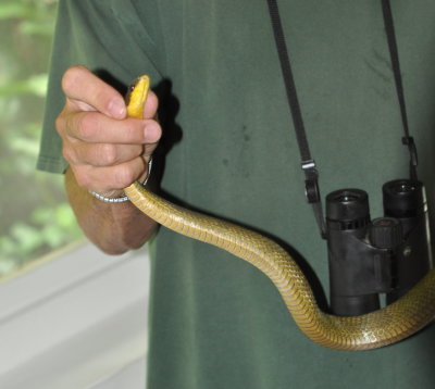 Larry holding the snake