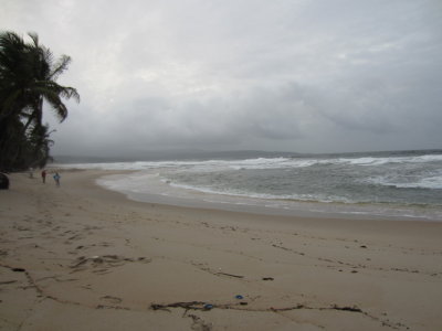 Beach in Trinidad
where we went to look for Leatherback Turtles