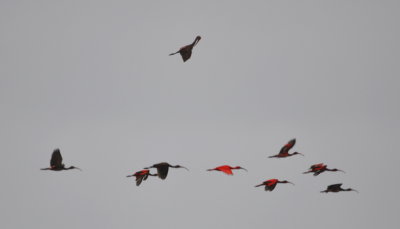 DSC_0934b.JPG