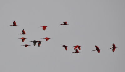 DSC_0042b.JPG