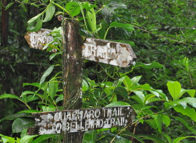 Weathered trail signs at Asa Wright Nature Center