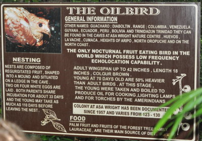 Sign about the Oilbird