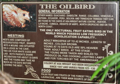 Sign about the Oilbird