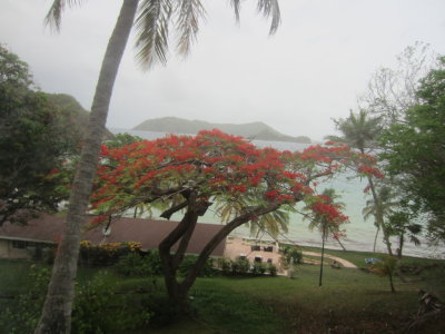 Blue Water Inn, Tobago