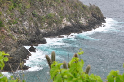 Shoreline of Little Tobago