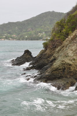 Tobago shoreline