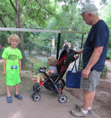 Pierce, Max and Grandpa study the meerkat studying them.