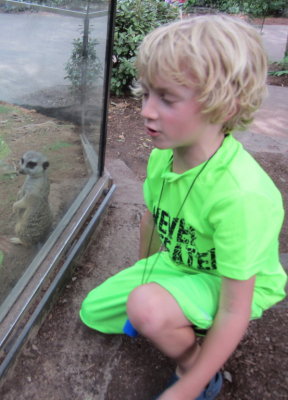 But the meerkat plays coy.