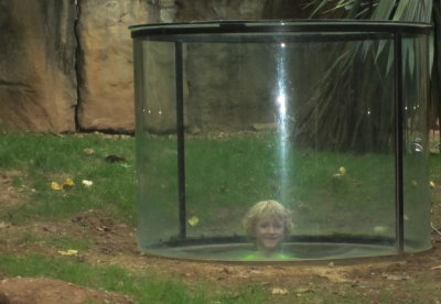 The Pierce exhibit at the Nashville Zoo