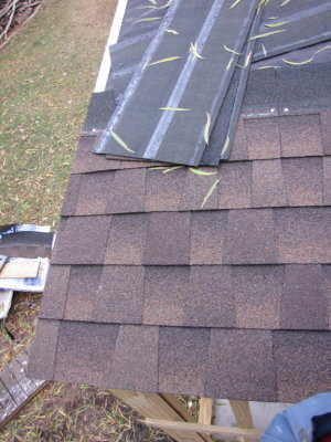 I put tar paper over the whole roof with 6 overlap and put metal trim on three sides--I wanted to put the top (north) trim over the shingles and then decided to get bigger pieces of trim too. Then I started putting down shingles.