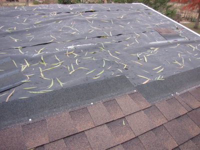 The next day I had to remove rain water and willow leaves before I could apply any more shingles.