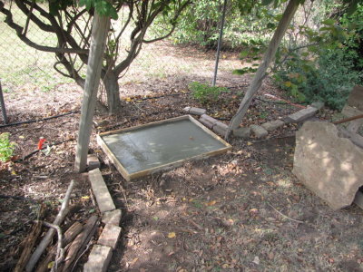 They had a little concrete left, so I made a quick form for the bench that sits under the west wisteria vine. They also filled a form I had for making stepping stones.