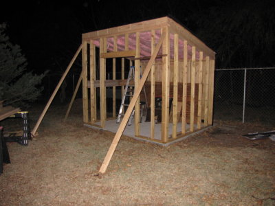 I put on the wider trim on top of the shingles on the top edge, then worked on the back wall.