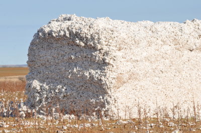 Cotton--these stacks were 8' wide, 8' tall and 16'-20' long and there were lots of them