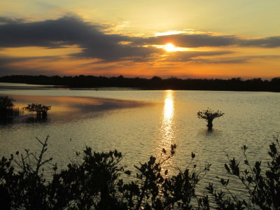 IMG_6373b.JPG