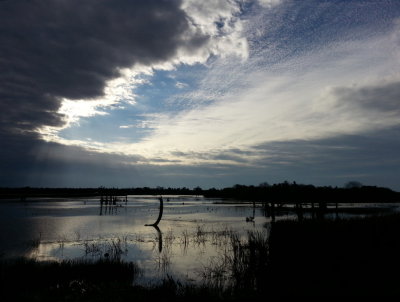 The clabbering sky over Viera Wetland
