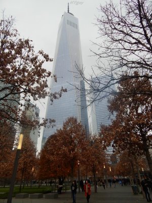 pic120114 186b_wm.JPG