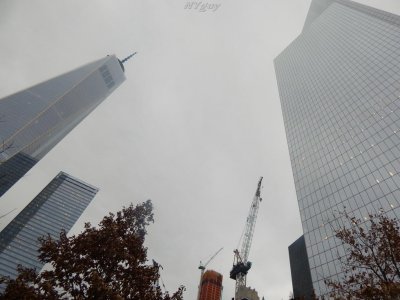 pic120114 201b_wm.JPG