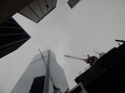 pic120114 250b_wm.JPG