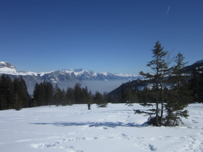 IMG_3978.JPG