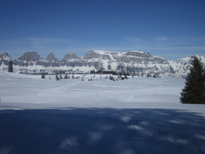 IMG_3980.JPG