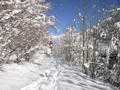 IMG_3585.JPG
