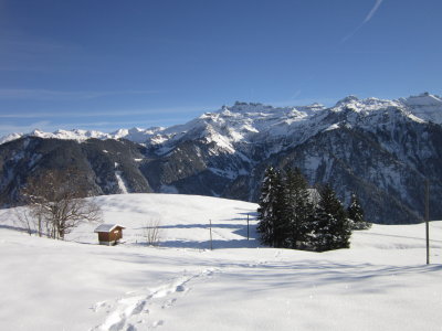 Braunwald.JPG