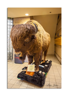 Buffalo Jump 03.jpg