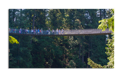 capilano_suspension_bridge