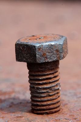 Bolt
