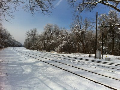 Winter