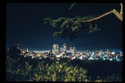 SFO at Night.jpg